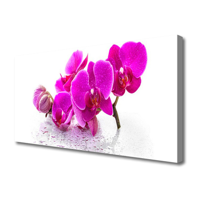 Canvas doek foto Bloemen plant nature