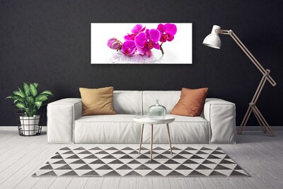 Canvas doek foto Bloemen plant nature