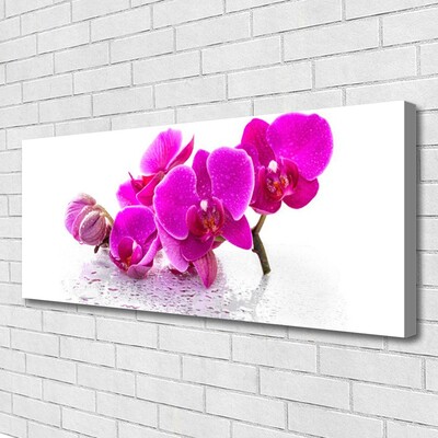 Canvas doek foto Bloemen plant nature