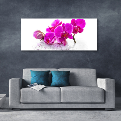 Canvas doek foto Bloemen plant nature