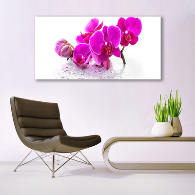 Canvas doek foto Bloemen plant nature