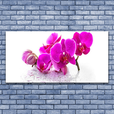 Canvas doek foto Bloemen plant nature