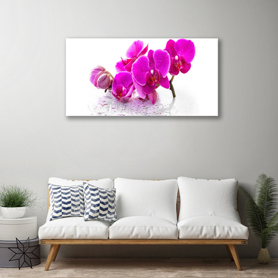 Canvas doek foto Bloemen plant nature