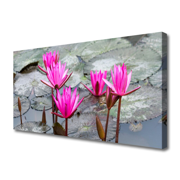 Canvas doek foto Bloemen plant nature