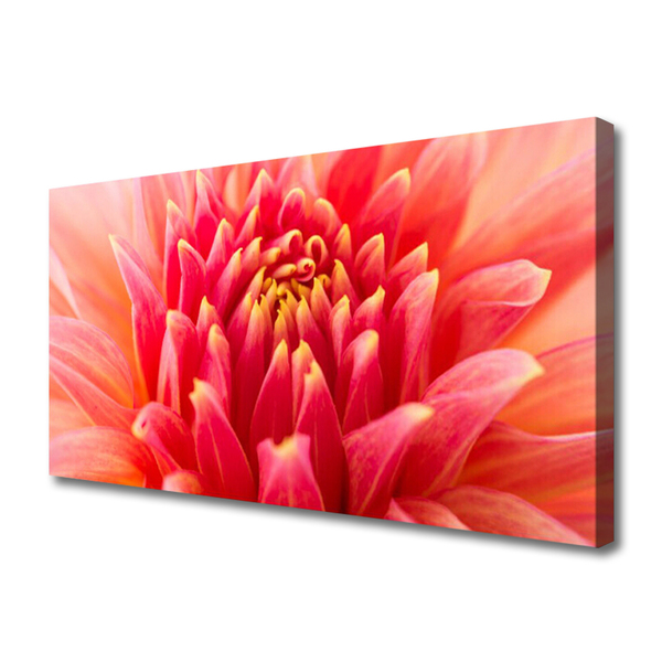 Canvas doek foto Natuur bloem plant