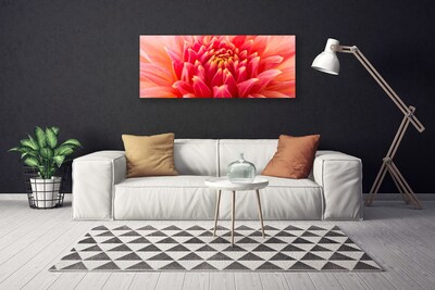 Canvas doek foto Natuur bloem plant