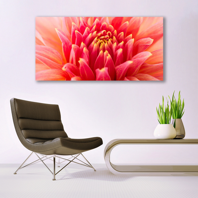 Canvas doek foto Natuur bloem plant