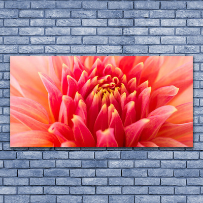 Canvas doek foto Natuur bloem plant