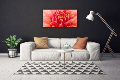 Canvas doek foto Natuur bloem plant