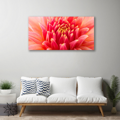 Canvas doek foto Natuur bloem plant