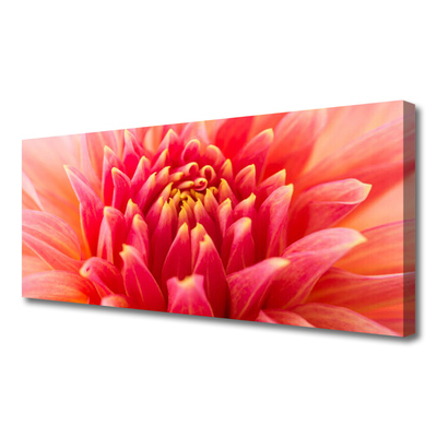 Canvas doek foto Natuur bloem plant