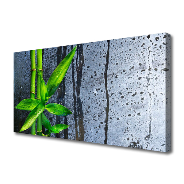 Canvas doek foto Bamboo leaf nature plant