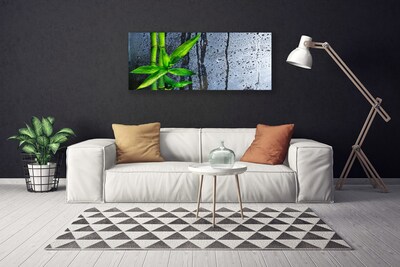 Canvas doek foto Bamboo leaf nature plant