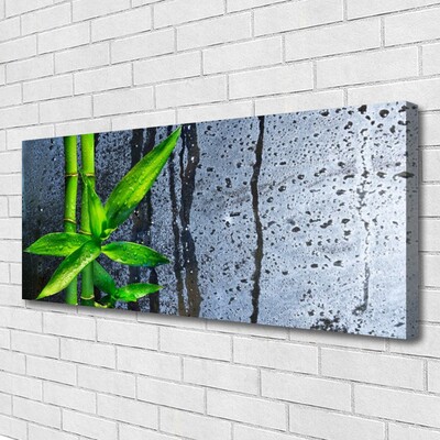 Canvas doek foto Bamboo leaf nature plant