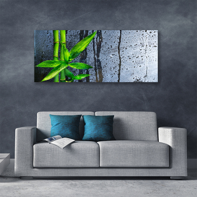 Canvas doek foto Bamboo leaf nature plant