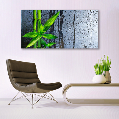 Canvas doek foto Bamboo leaf nature plant