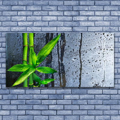 Canvas doek foto Bamboo leaf nature plant