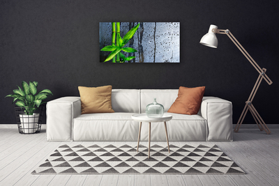 Canvas doek foto Bamboo leaf nature plant