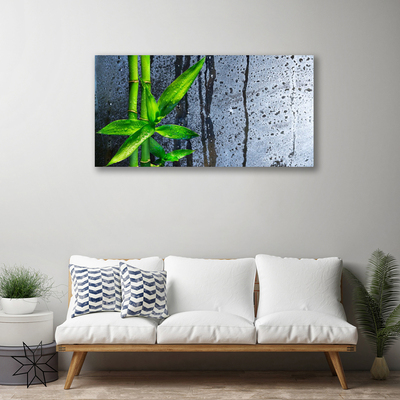 Canvas doek foto Bamboo leaf nature plant