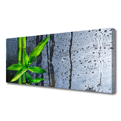 Canvas doek foto Bamboo leaf nature plant