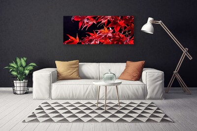 Canvas doek foto Bladeren natuur plant