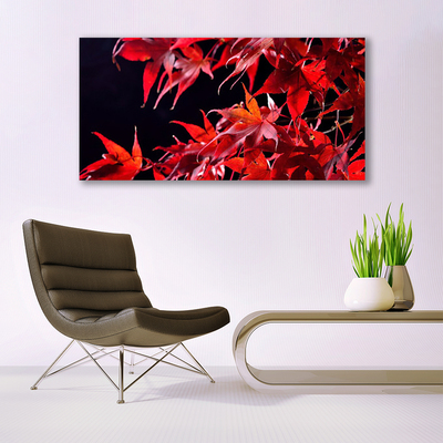 Canvas doek foto Bladeren natuur plant