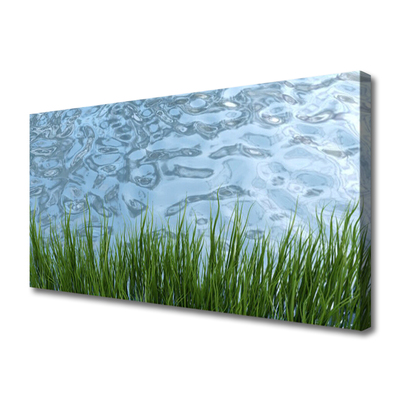 Canvas doek foto Water grass nature