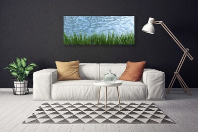 Canvas doek foto Water grass nature