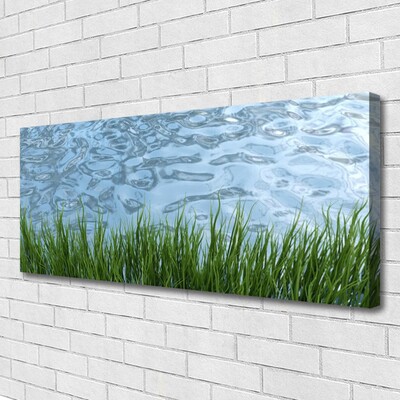 Canvas doek foto Water grass nature