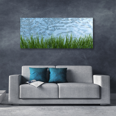 Canvas doek foto Water grass nature