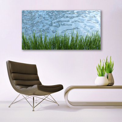 Canvas doek foto Water grass nature