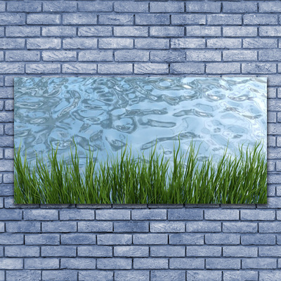 Canvas doek foto Water grass nature