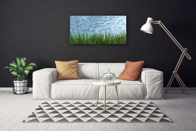 Canvas doek foto Water grass nature