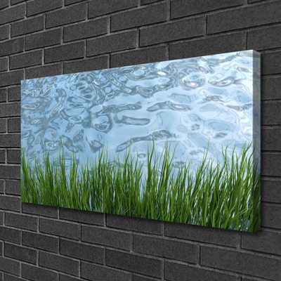 Canvas doek foto Water grass nature