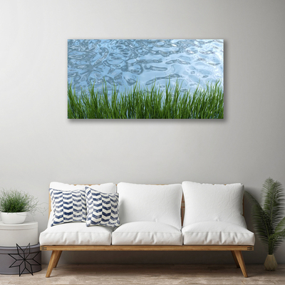 Canvas doek foto Water grass nature