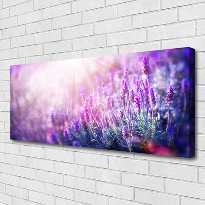 Canvas doek foto Bloemen plant nature