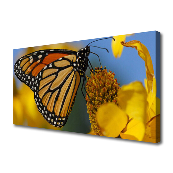 Canvas doek foto Butterfly flower nature