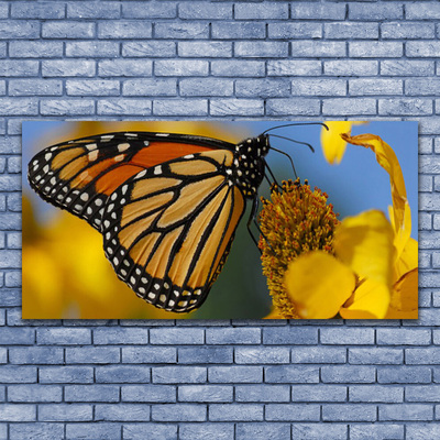 Canvas doek foto Butterfly flower nature