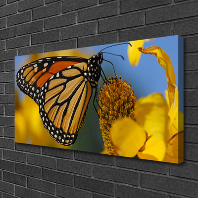 Canvas doek foto Butterfly flower nature