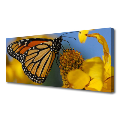 Canvas doek foto Butterfly flower nature