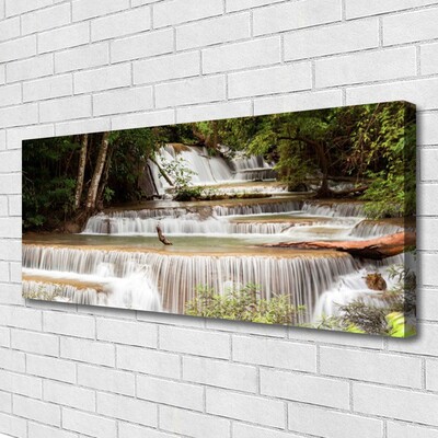 Canvas doek foto Boswaterval nature