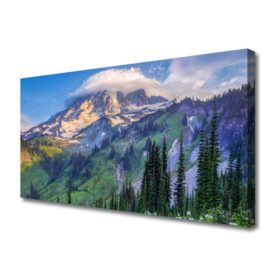 Canvas doek foto Bos landschap mountain nature