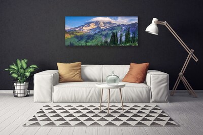 Canvas doek foto Bos landschap mountain nature