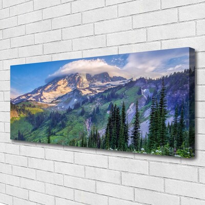 Canvas doek foto Bos landschap mountain nature