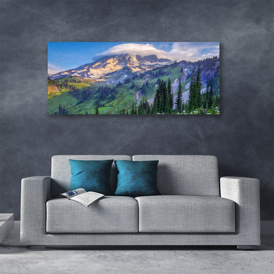 Canvas doek foto Bos landschap mountain nature