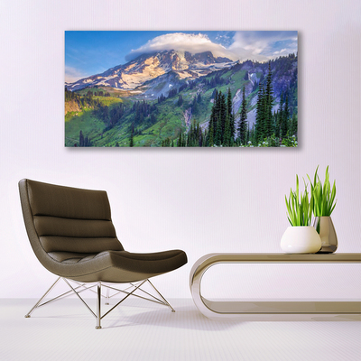 Canvas doek foto Bos landschap mountain nature