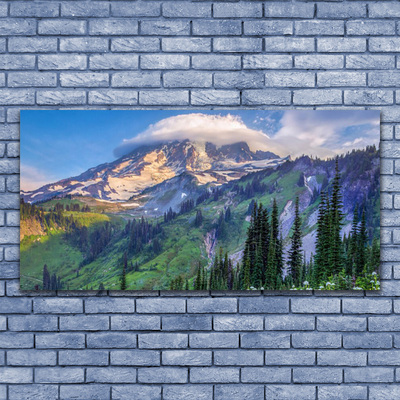 Canvas doek foto Bos landschap mountain nature