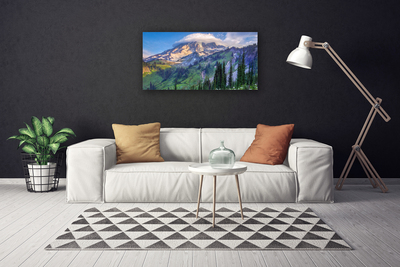 Canvas doek foto Bos landschap mountain nature