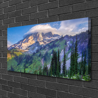 Canvas doek foto Bos landschap mountain nature