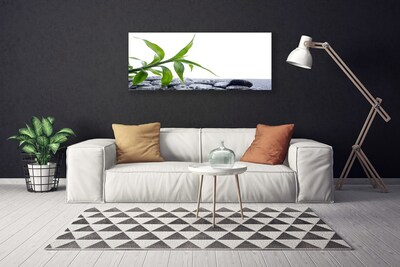 Canvas doek foto Blad natuur plant stones